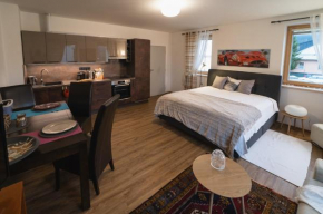Apartmán v centru